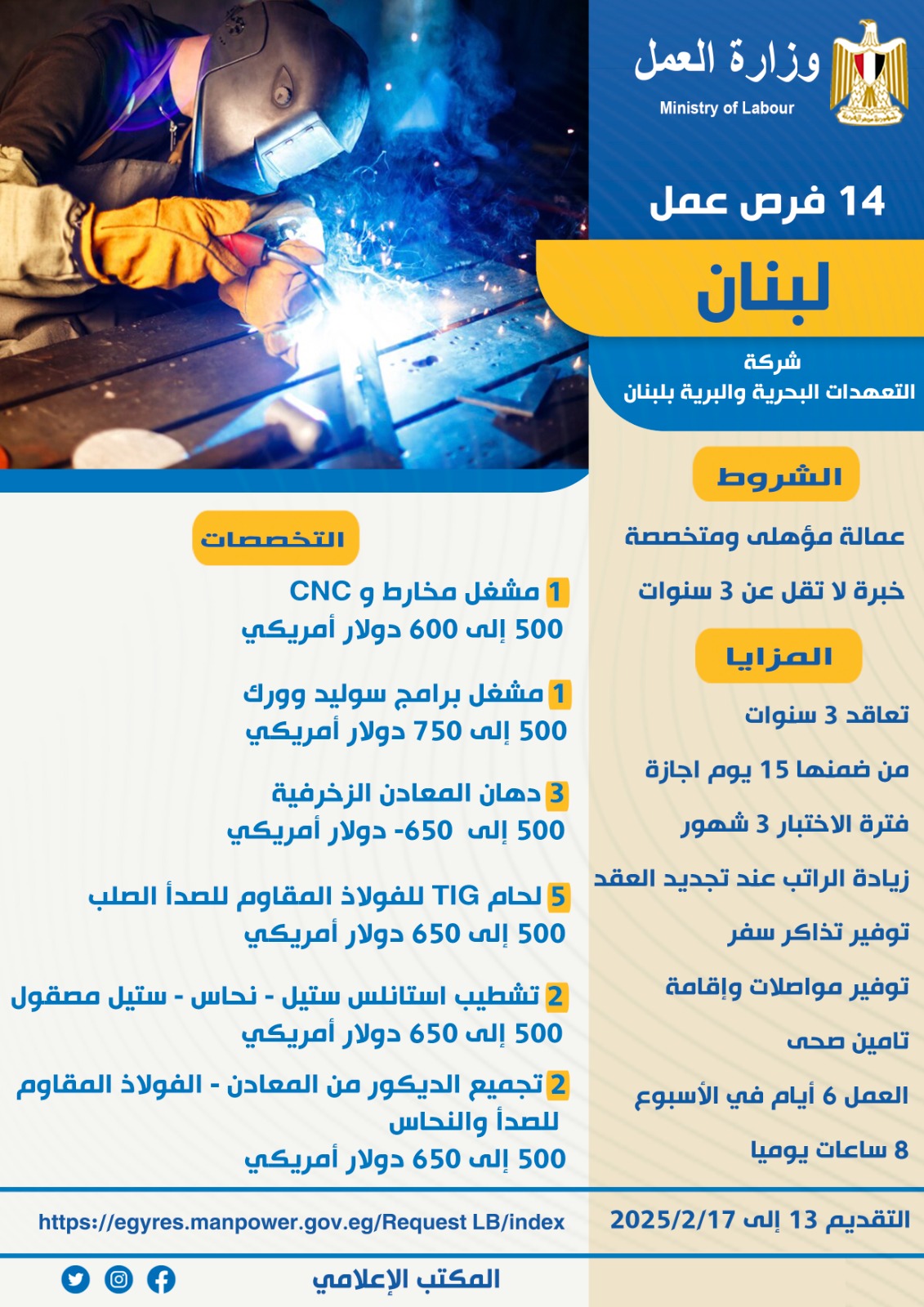 وزير القوى العامله 